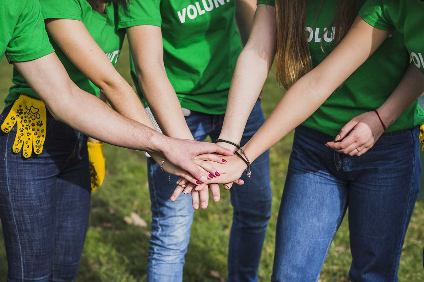 Молодежные волонтерские организации. Экологические волонтеры. Экологическое волонтерство. Волонтеры экологи. Экологическое добровольчество.